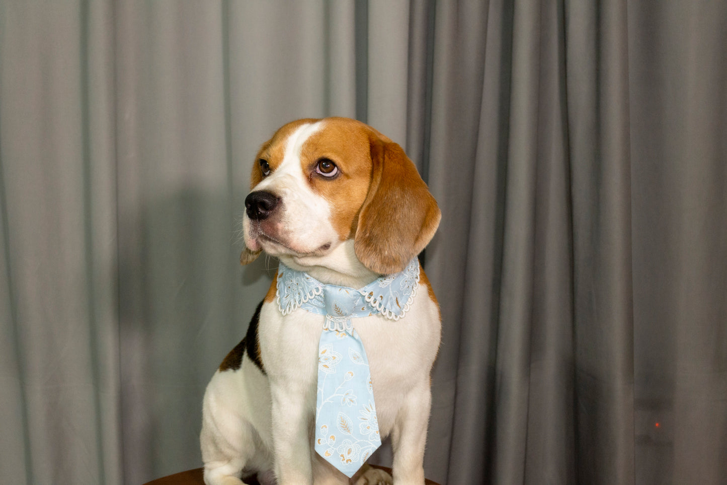 Blue Collar Tie