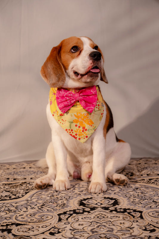 Green Bandana Bow