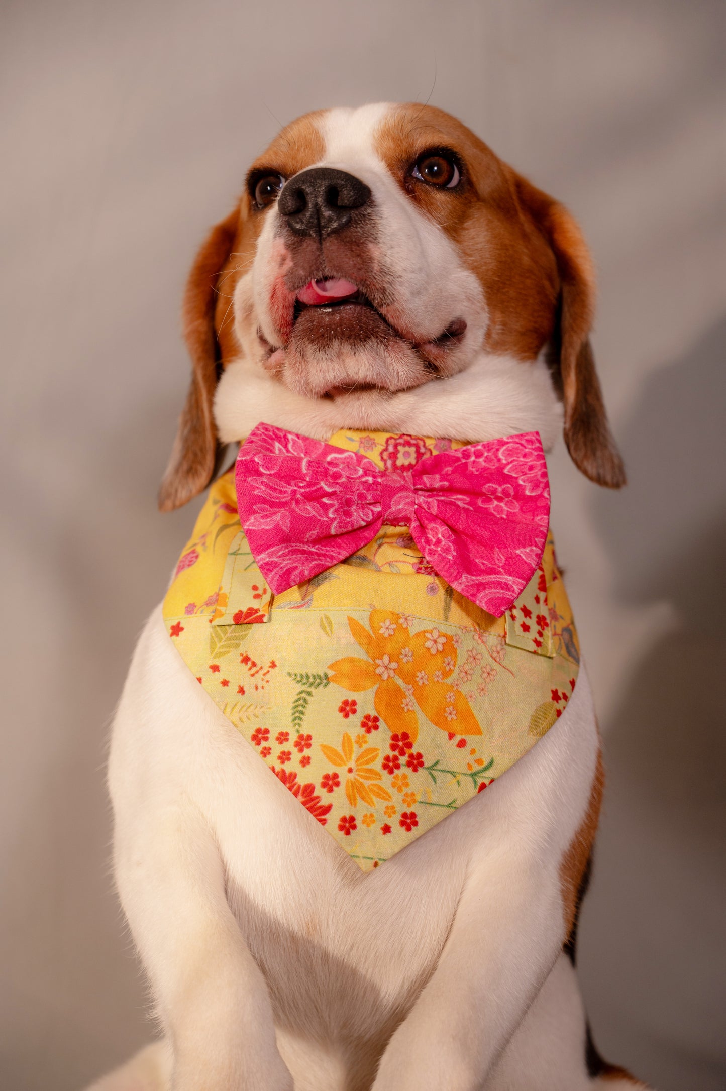 Green Bandana Bow