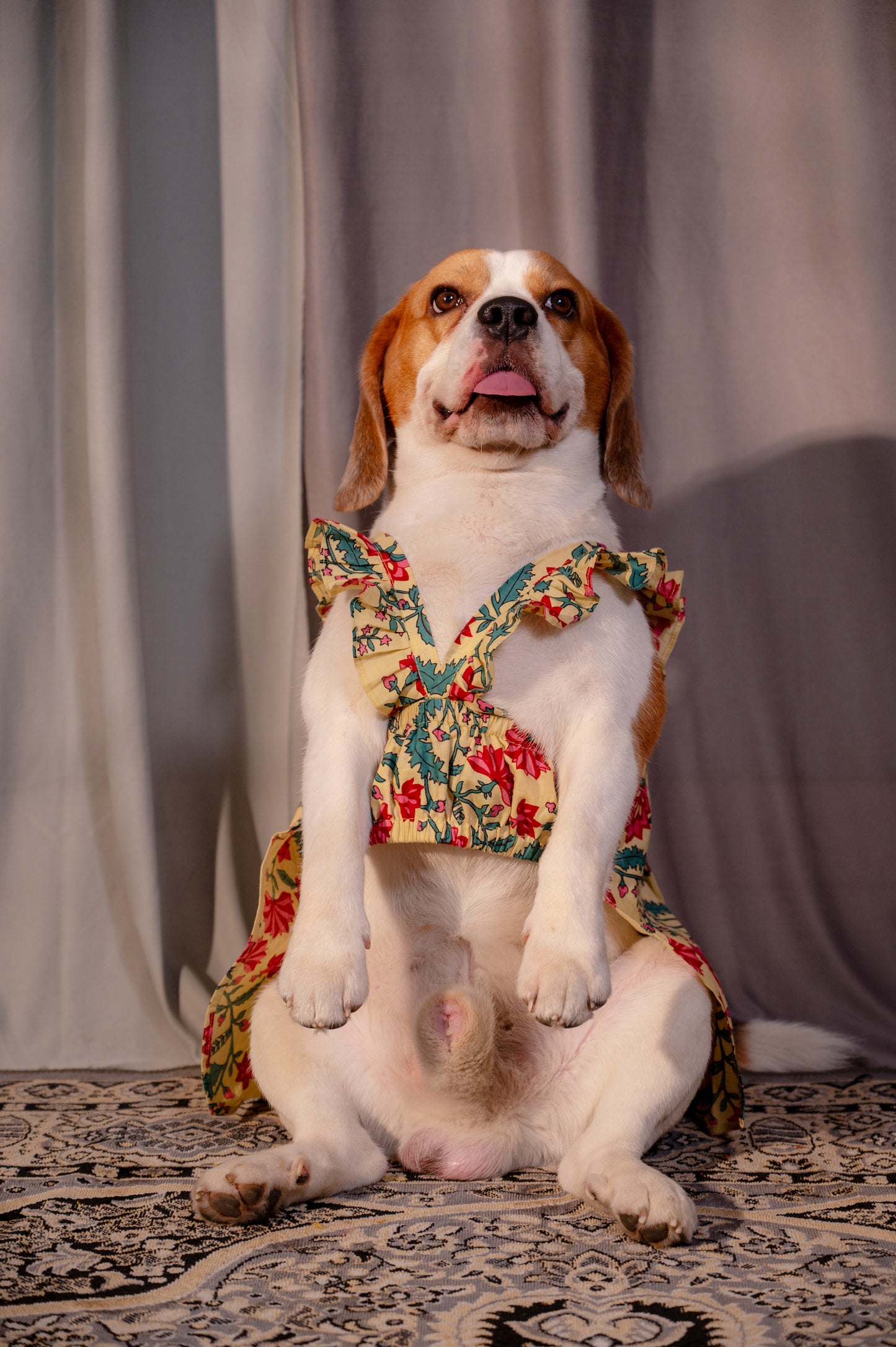 Beige Floral Frock