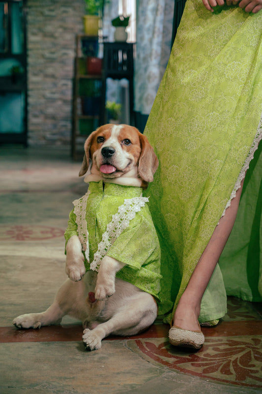 Lime Green Kurta with Dupatta