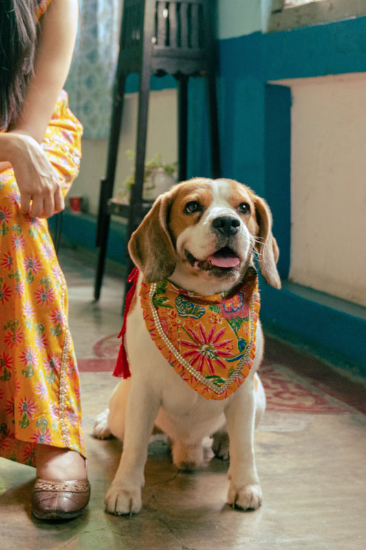 Yellow Ruffle Bandana