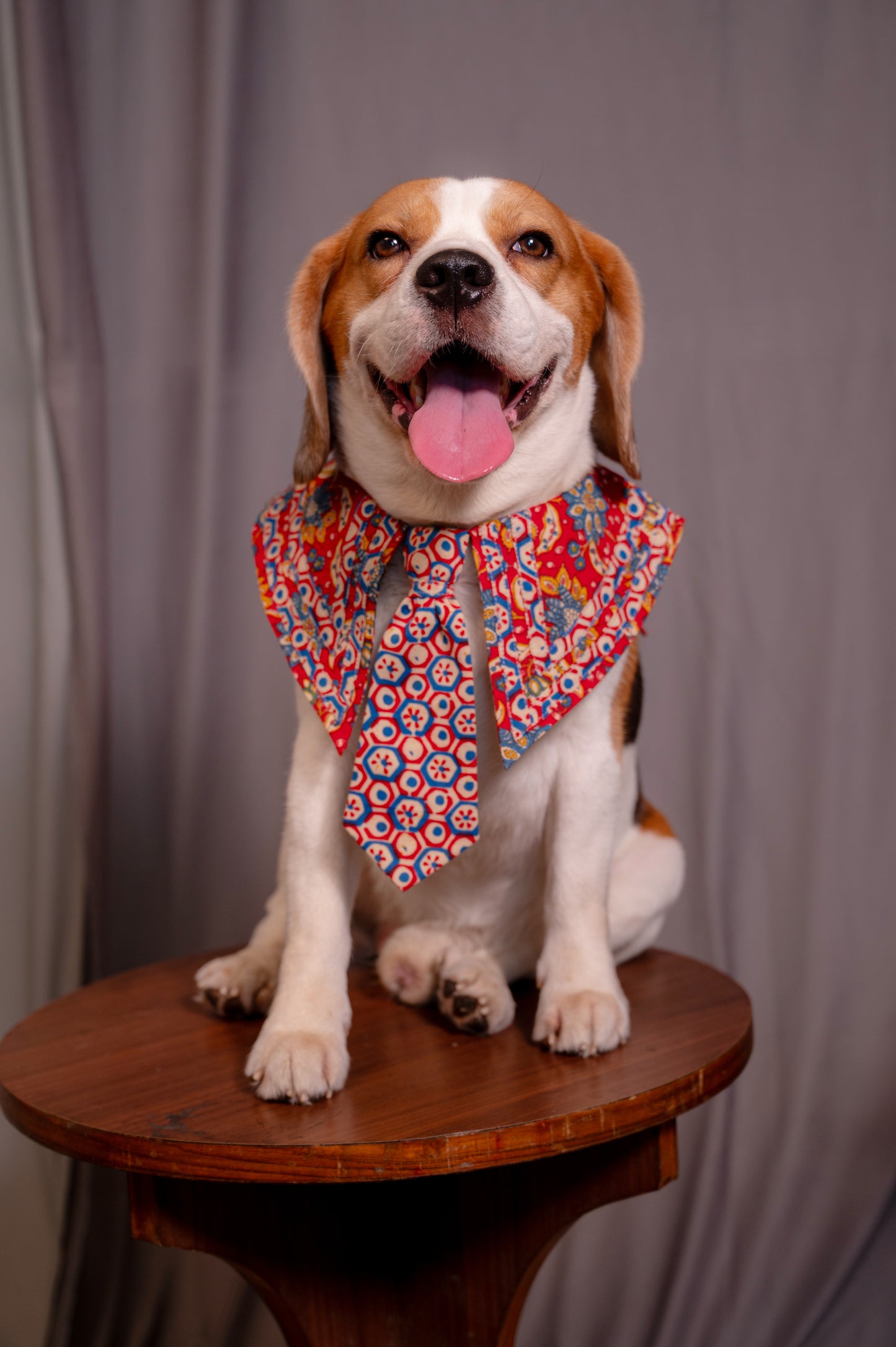 Red Sailor Collar with Tie