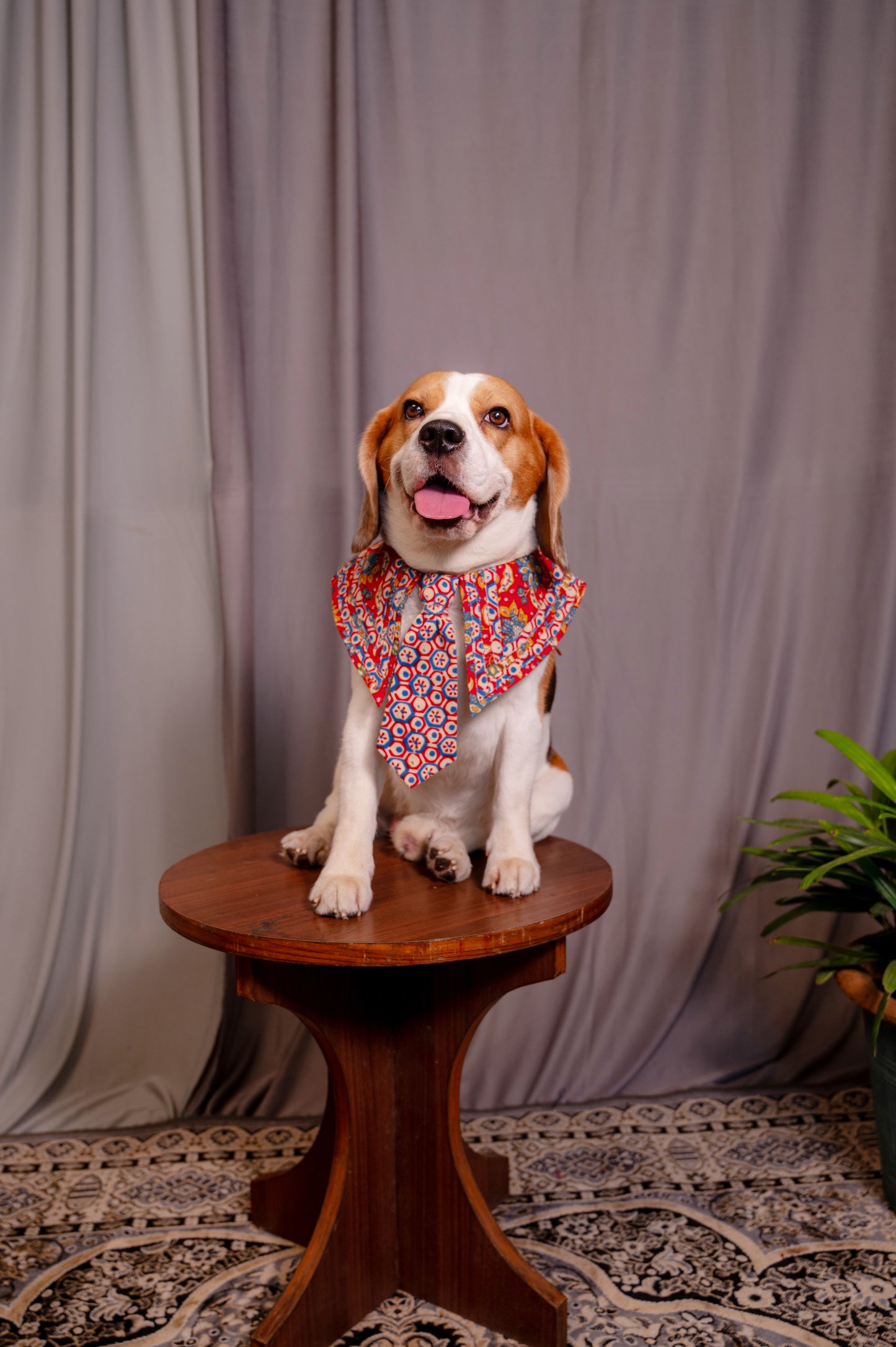 Red Sailor Collar with Tie