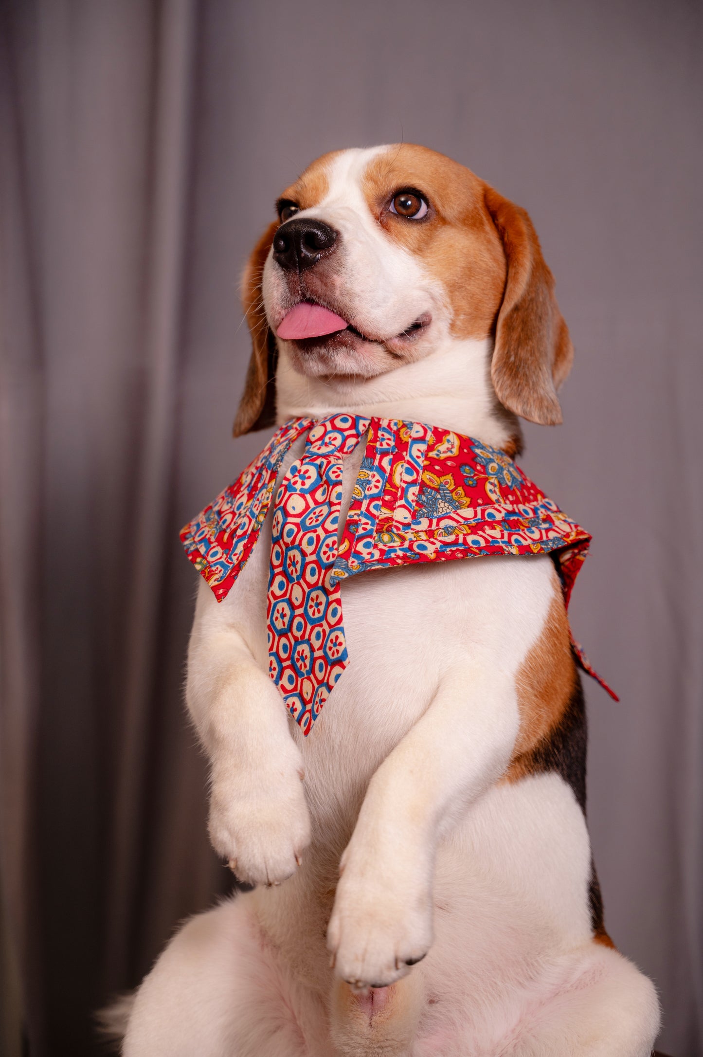 Red Sailor Collar with Tie