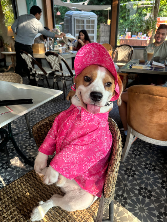 Pink Shirt with Cap