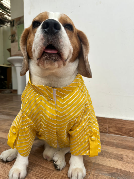 Yellow Sherwani