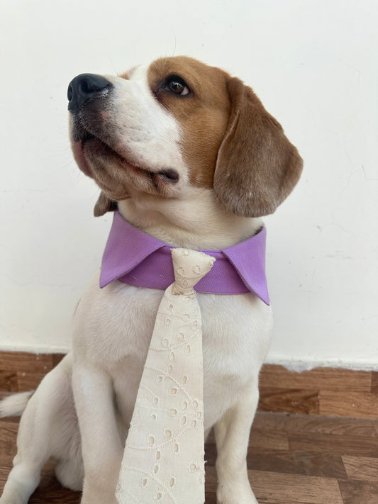 Lilac Collar Tie