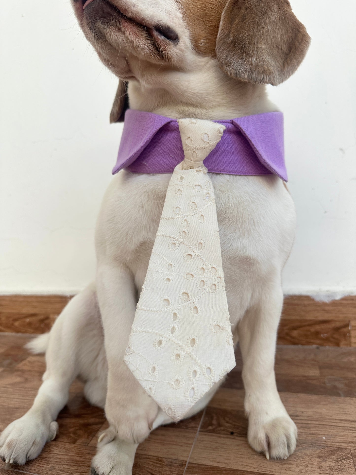 Lilac Collar Tie