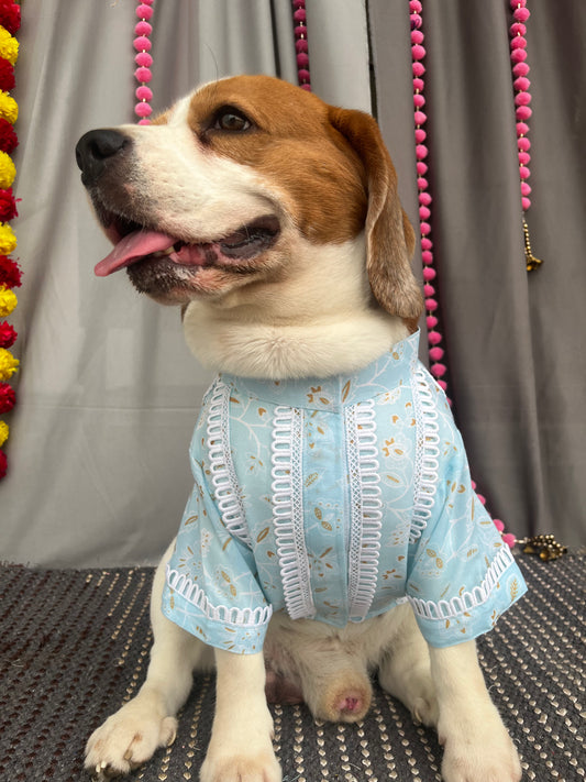 Blue Printed Kurta