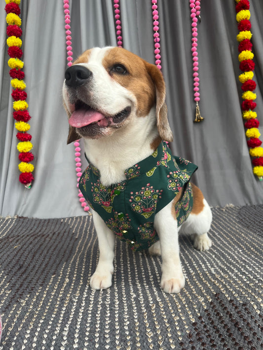 Green Sleeveless Kurta