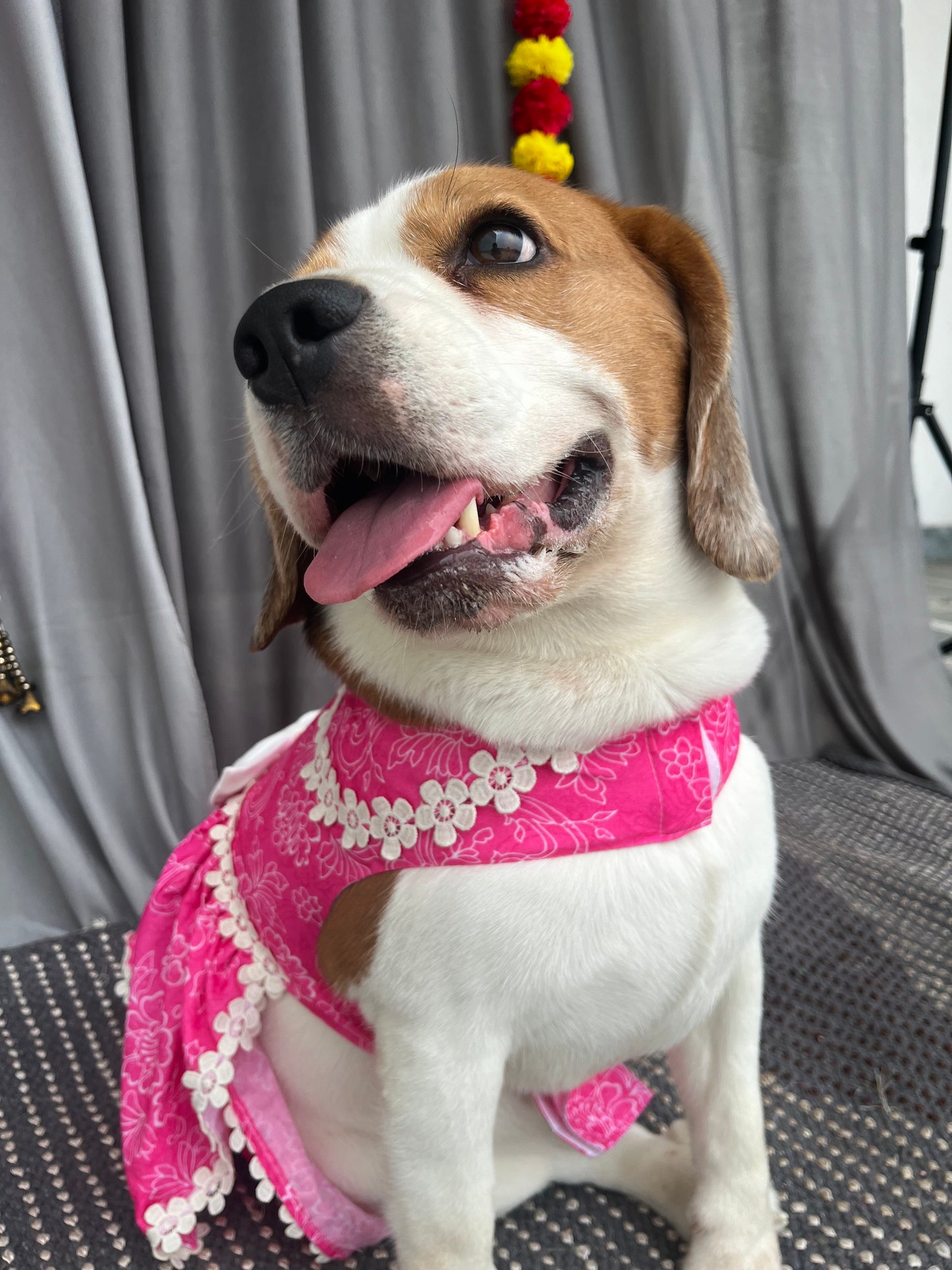 Pink Floral Frock