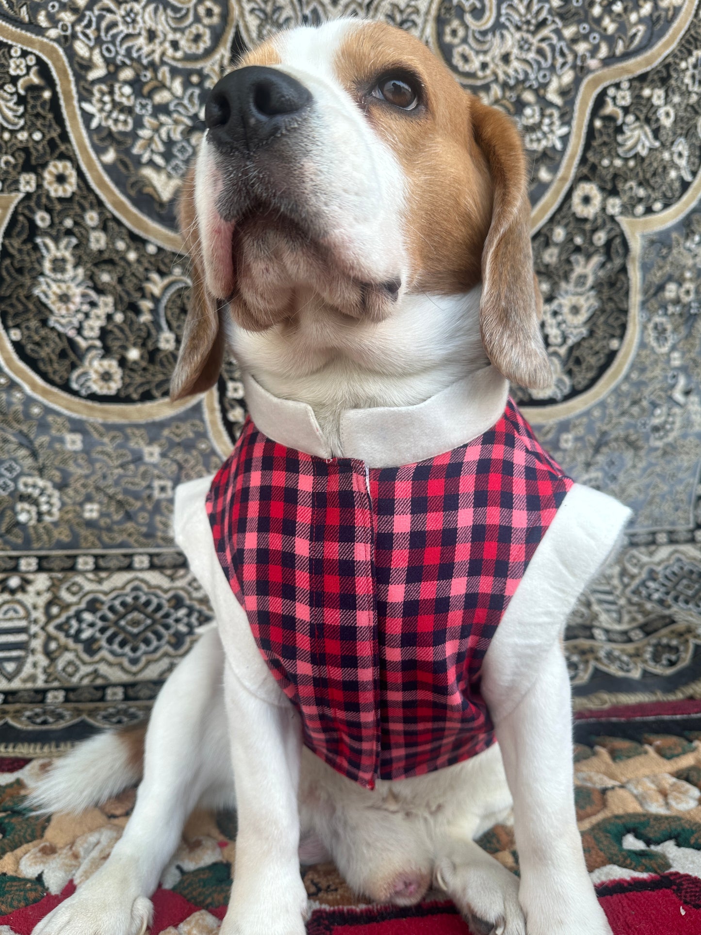 Red Plaid Jacket