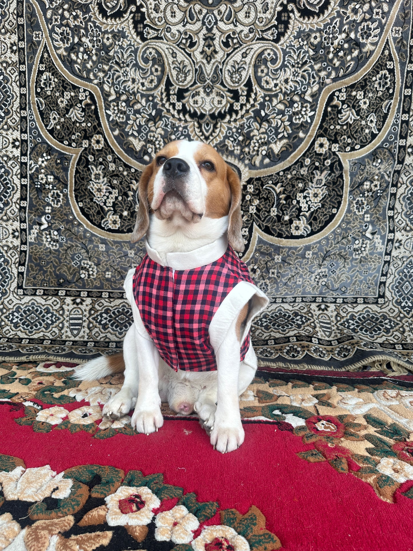 Red Plaid Jacket