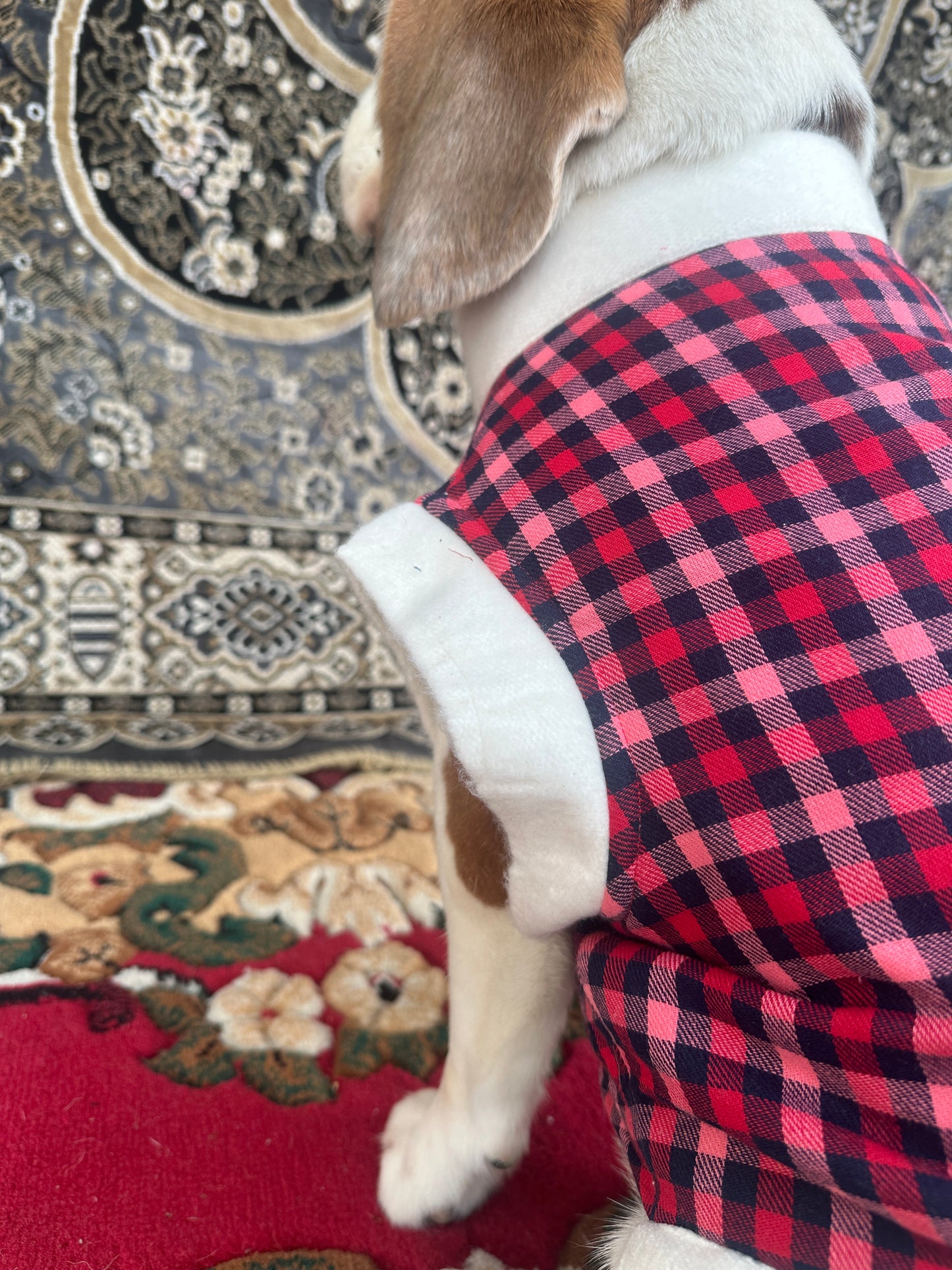 Red Plaid Jacket