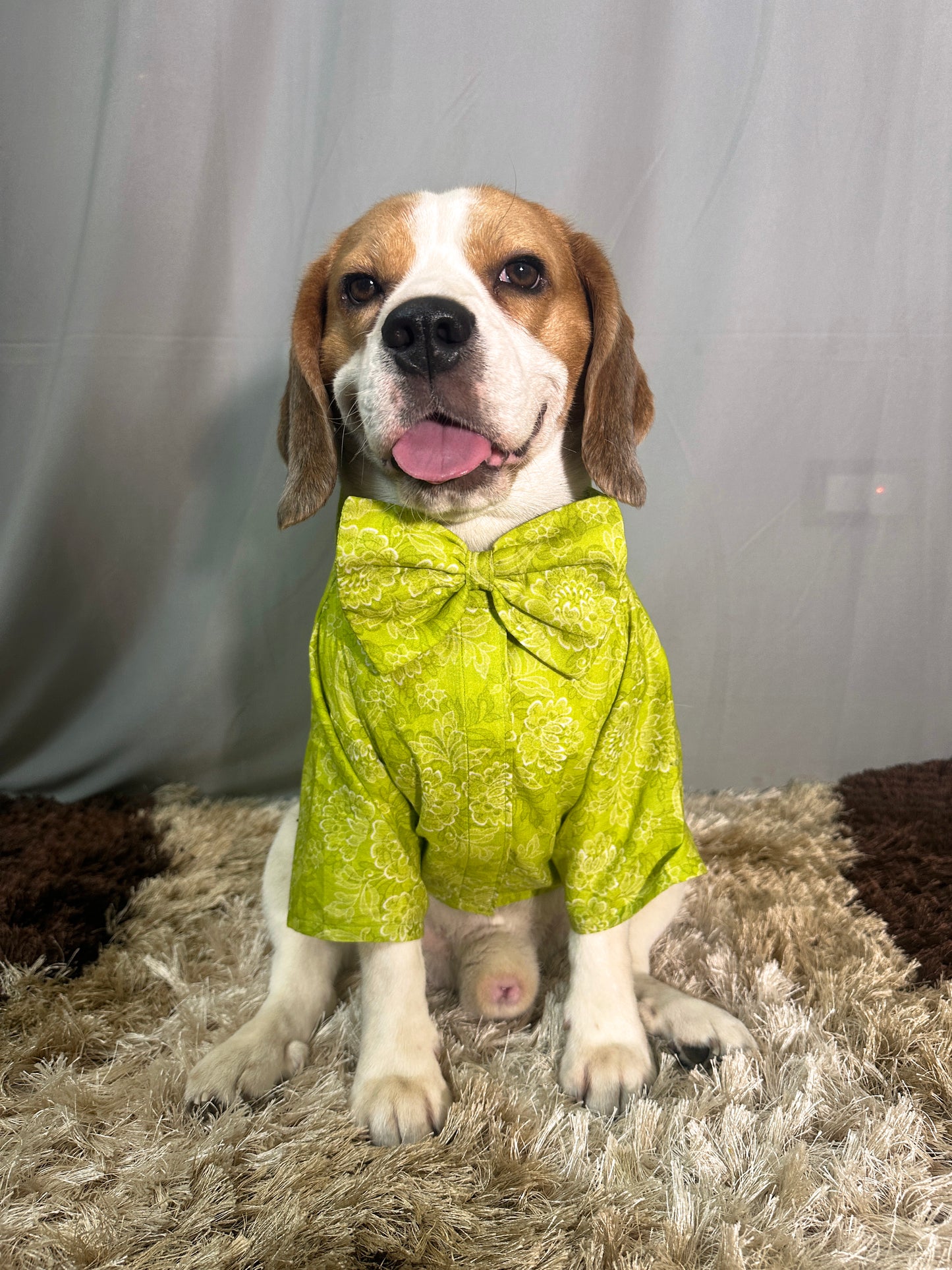 Lime Green Shirt with Bow