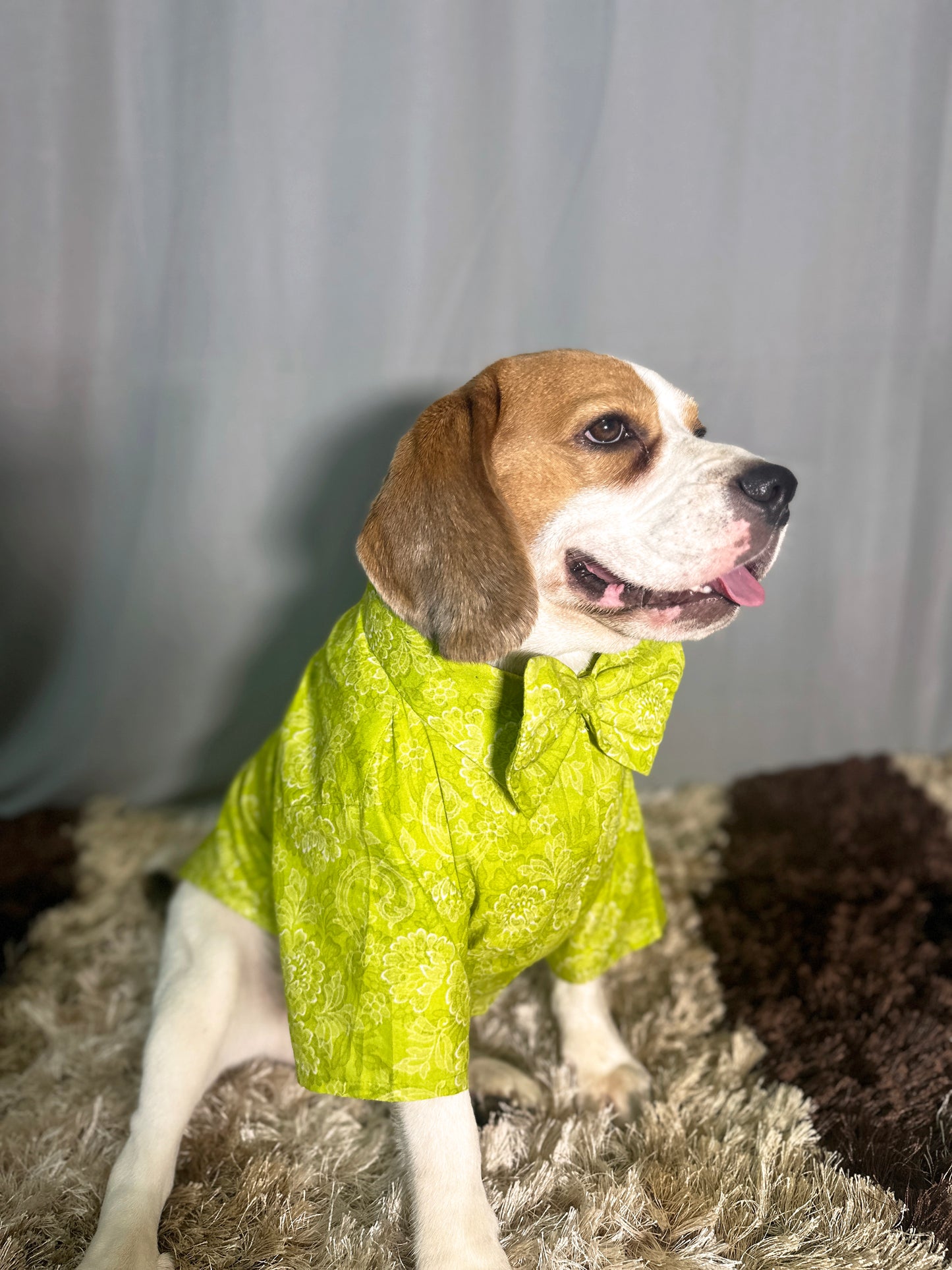 Lime Green Shirt with Bow