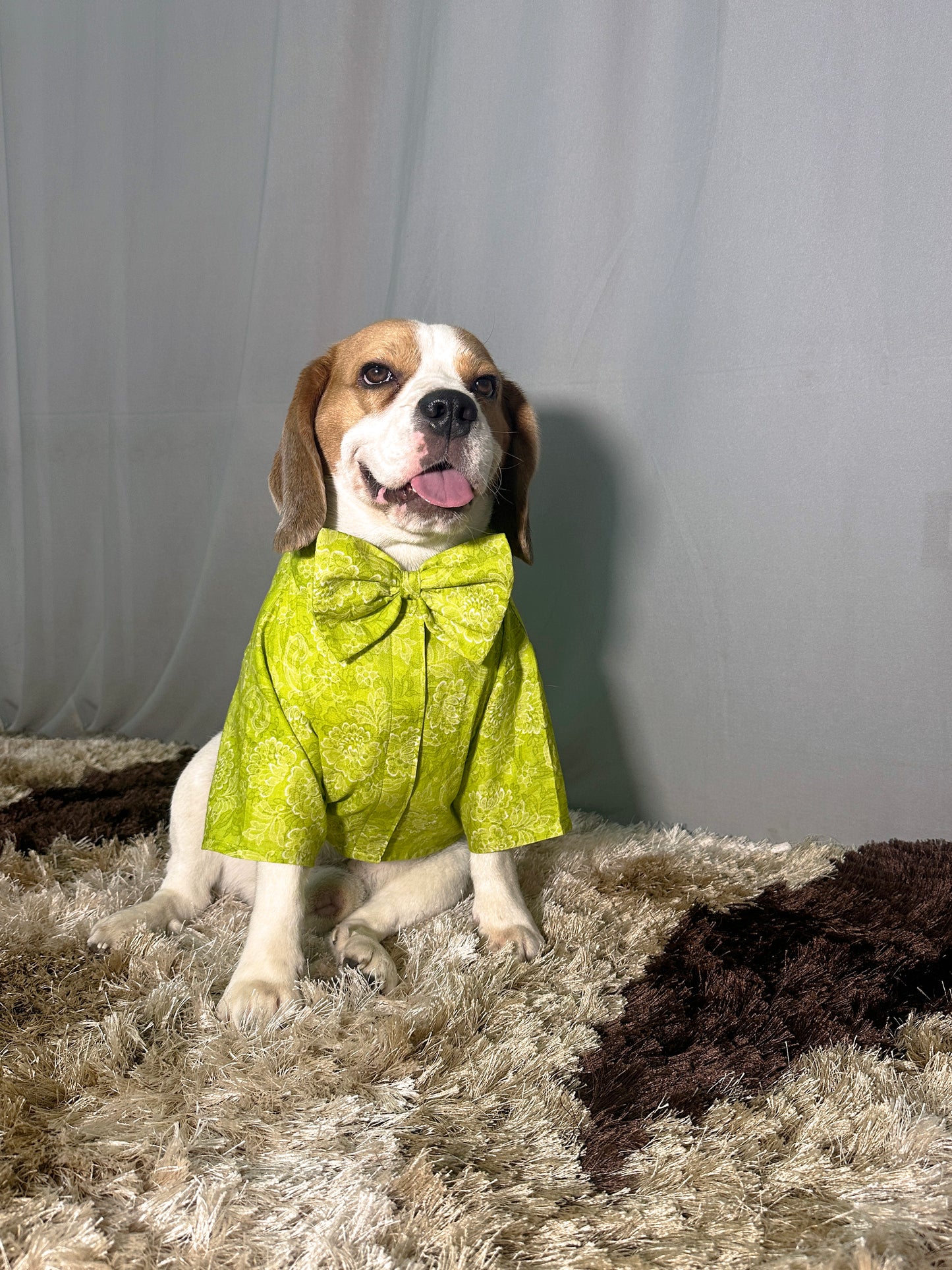 Lime Green Shirt with Bow