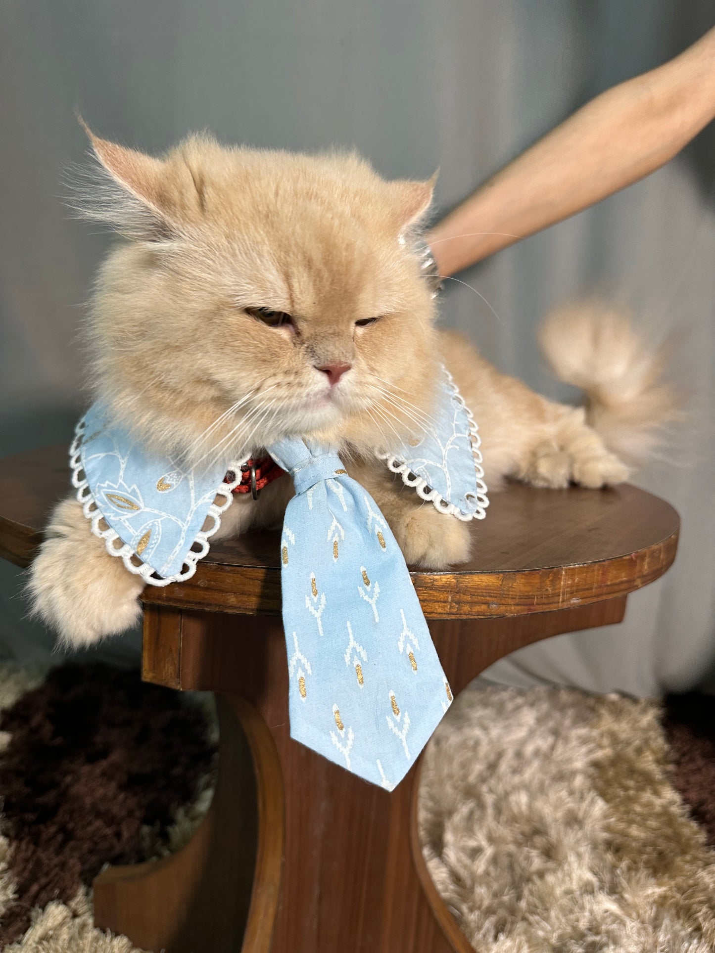 Blue Sailor Collar with Tie