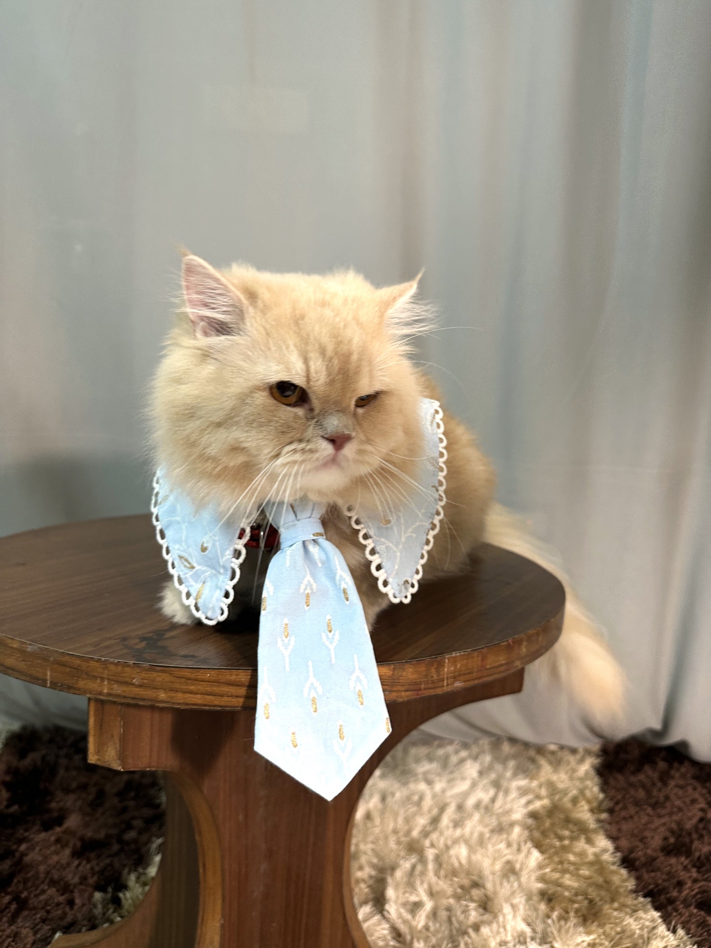 Blue Sailor Collar with Tie