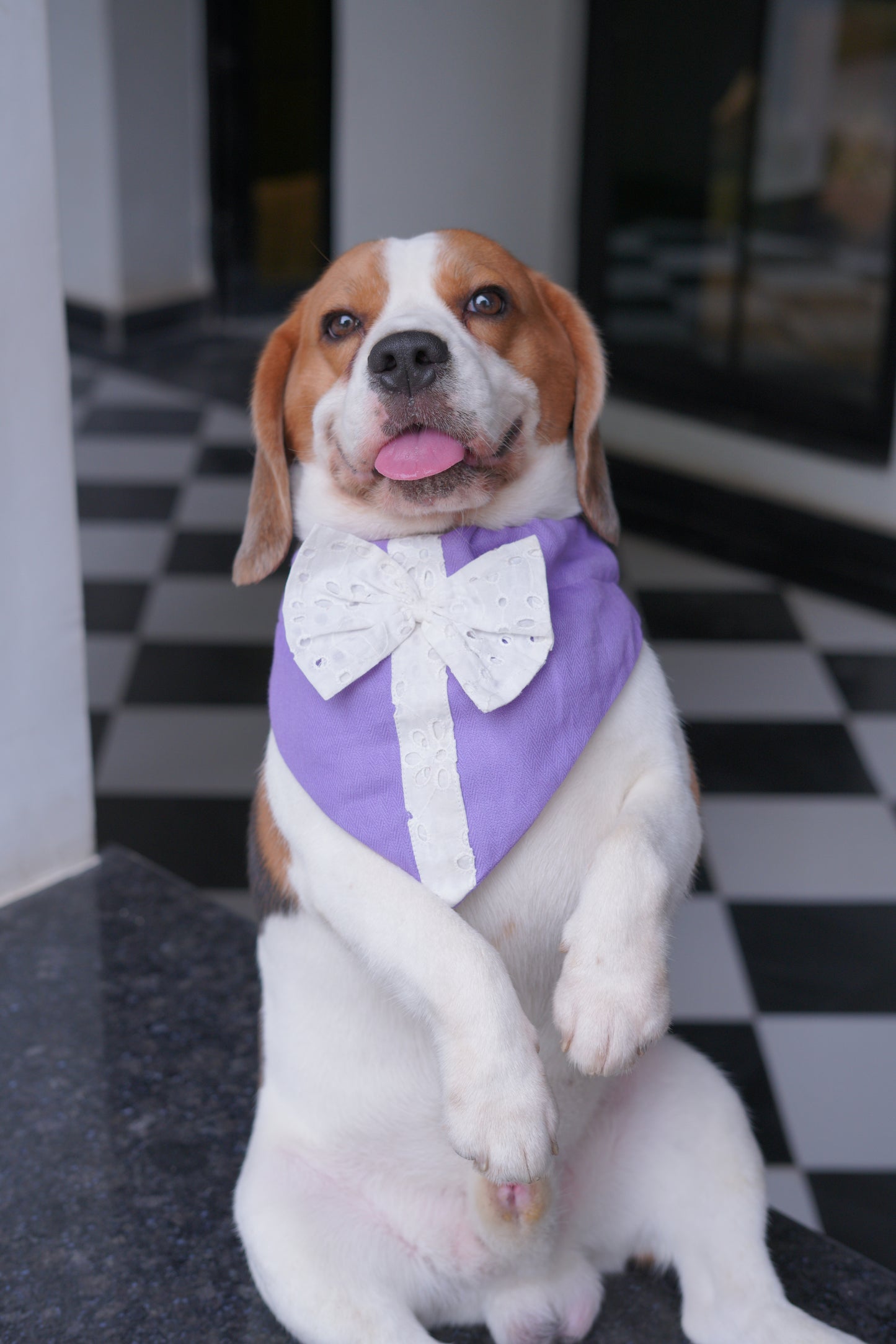 Lilac Bandana