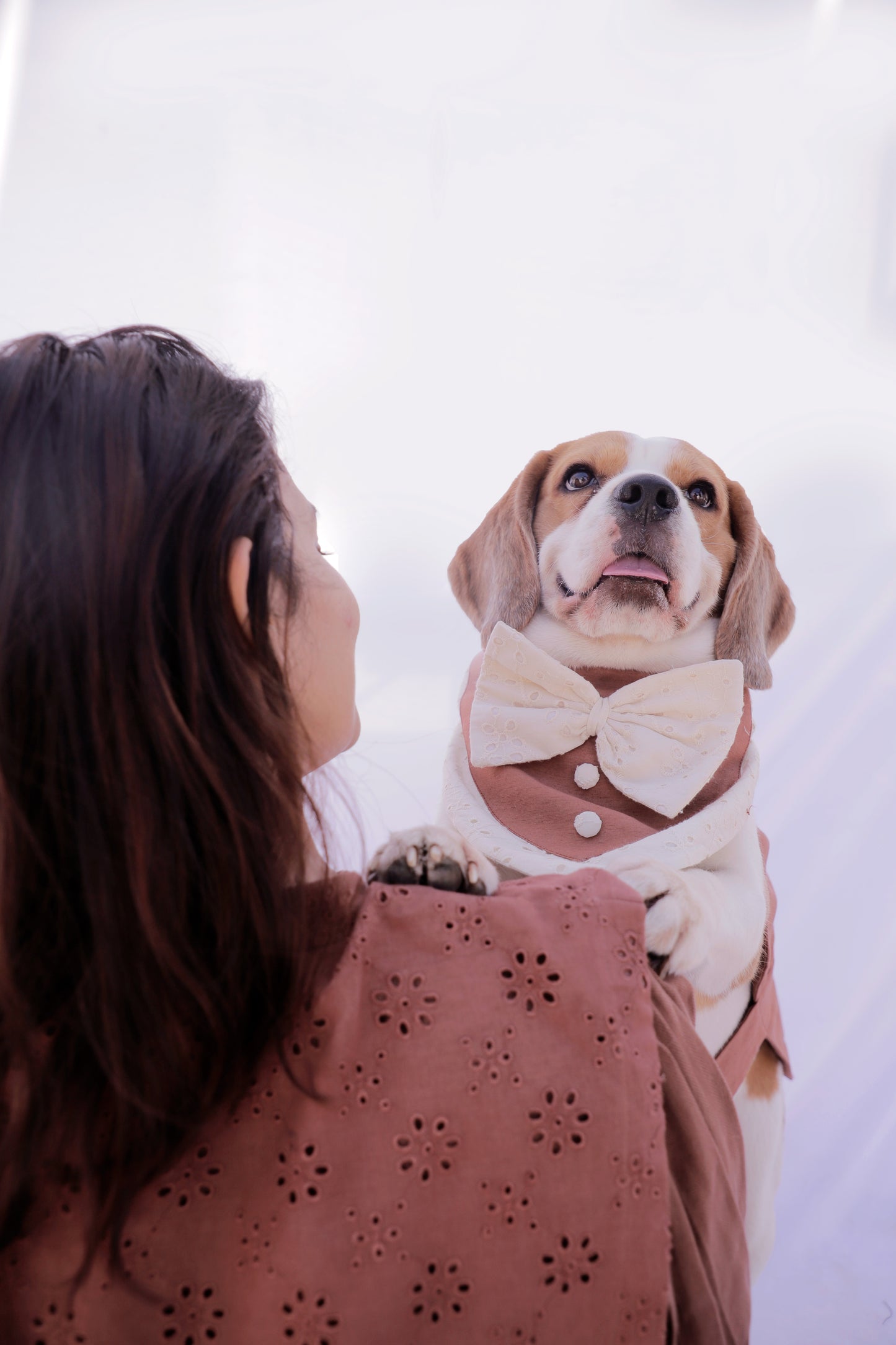 Brown Tuxedo Bandana