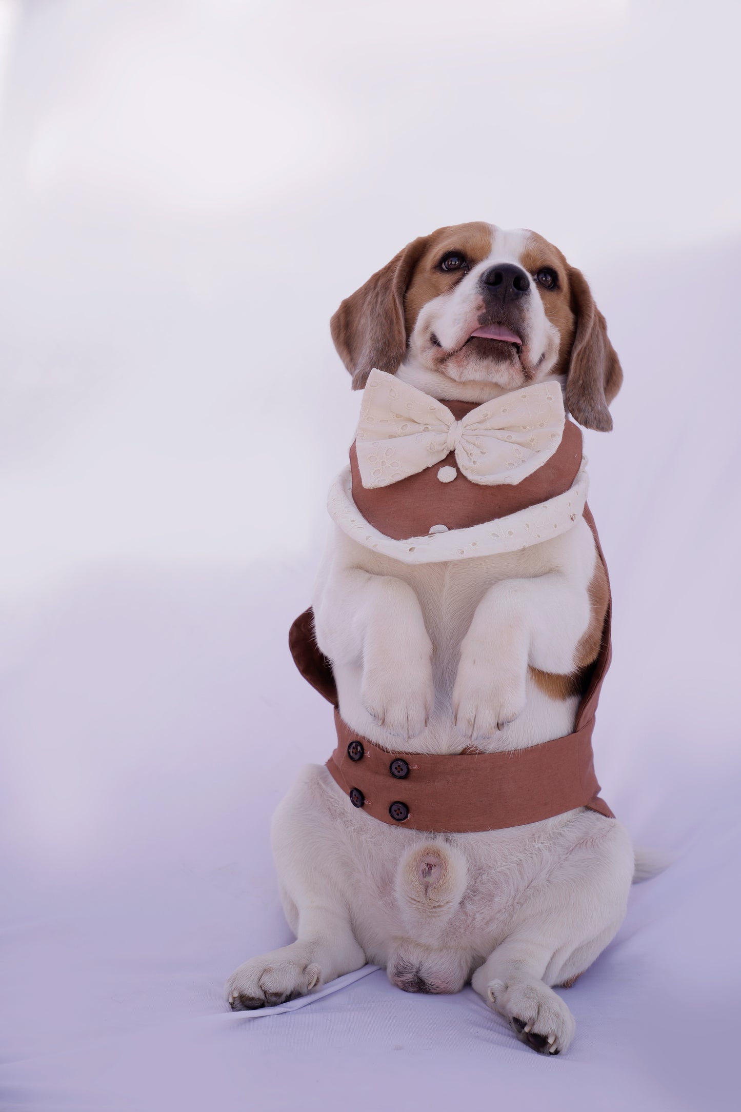 Brown Tuxedo Bandana & Coat Set