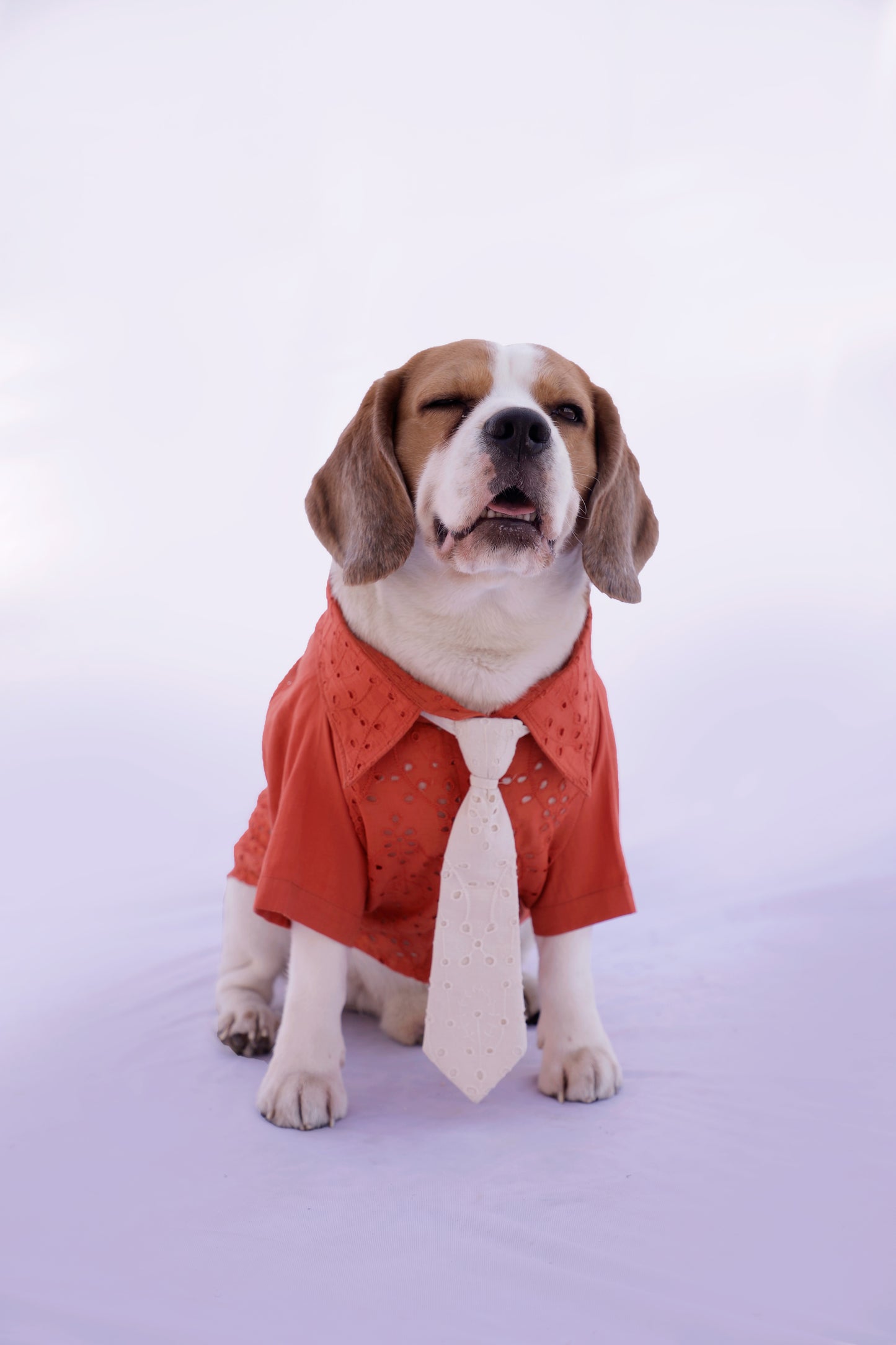 Tangerine Shirt with Tie