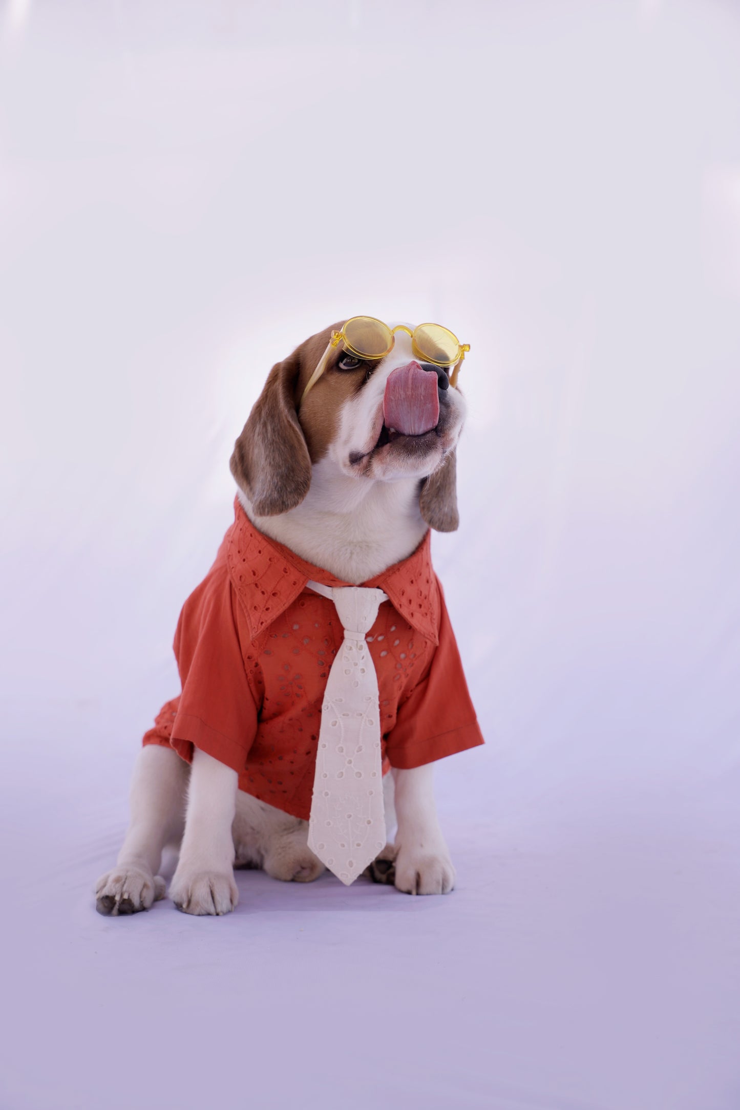 Tangerine Shirt with Tie