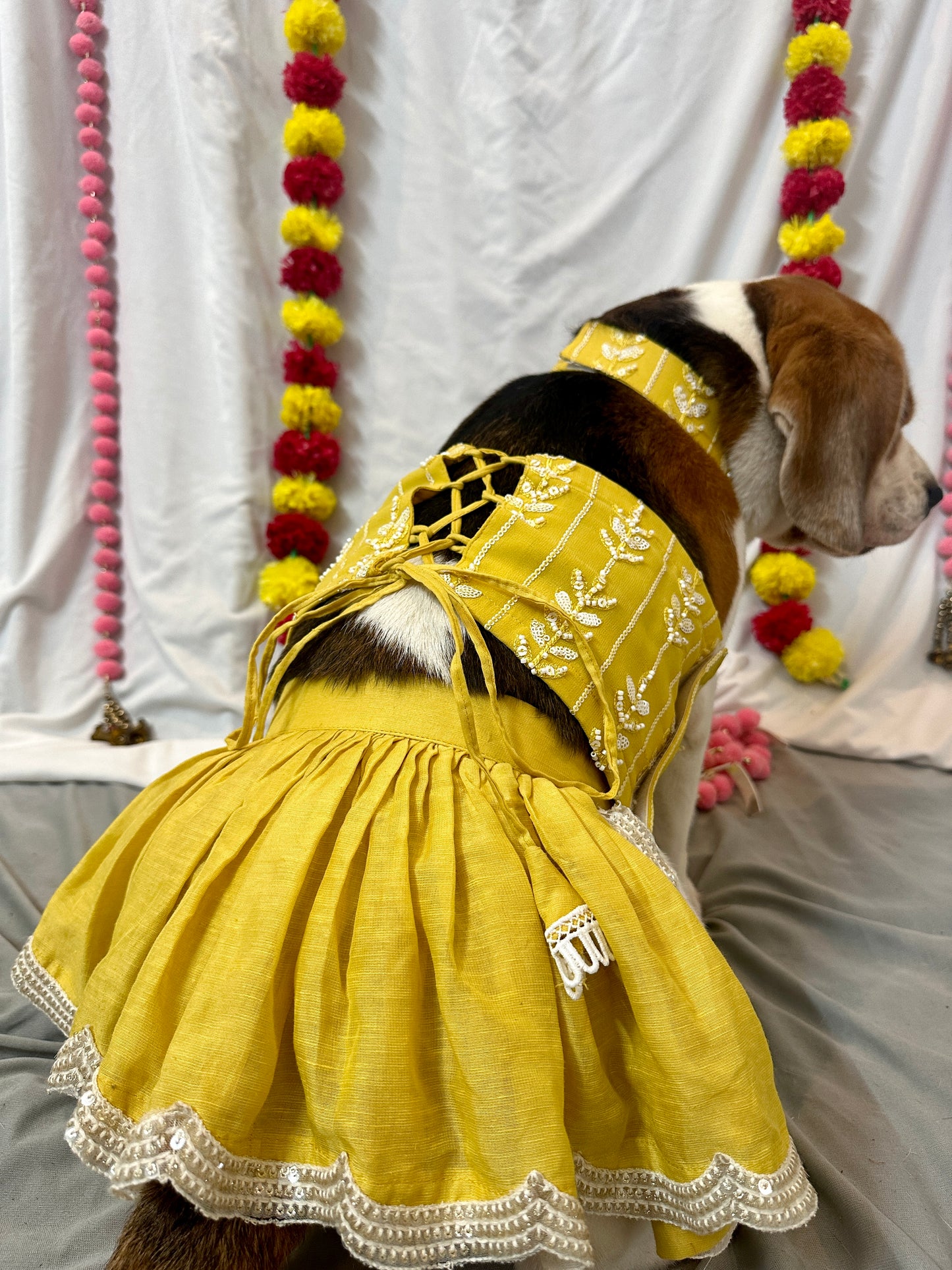 Yellow Lehenga Set